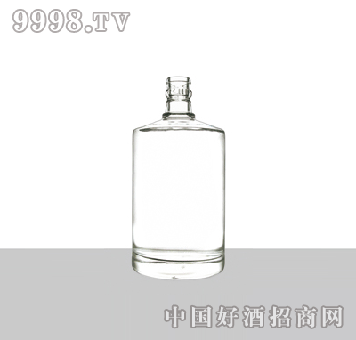 XY-053׾ƿ500ml