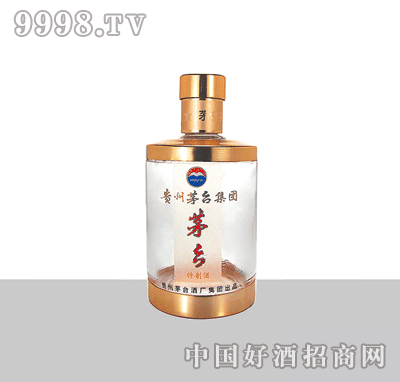 XY-088׾ƿ500ml