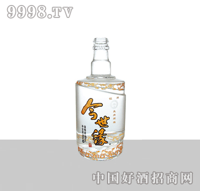 XY-300ײƿ500ml