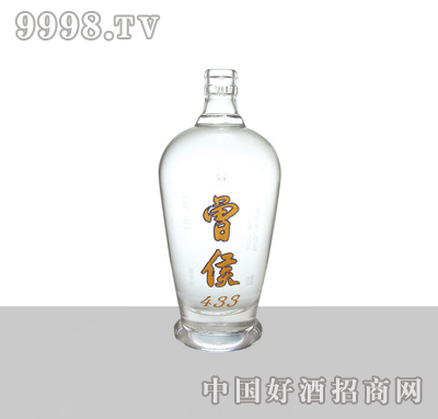 XY-307ײƿ500ml